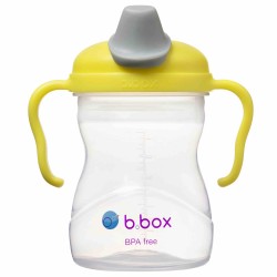 B.Box Spout Cup