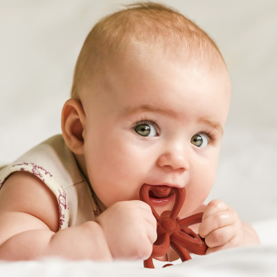 Haakaa Silicone Clover Teether - Copper